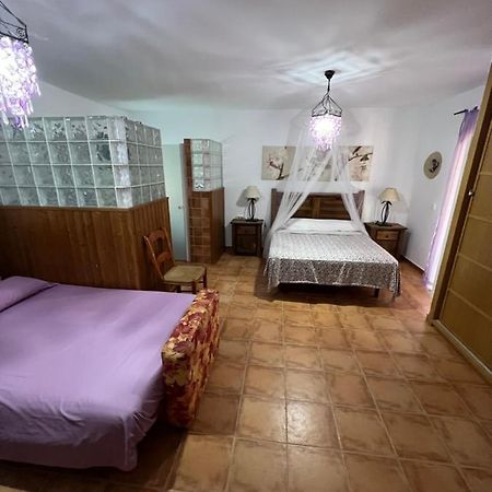 Suite Alhucema Чиклана-де-ла-Фронтера Екстер'єр фото